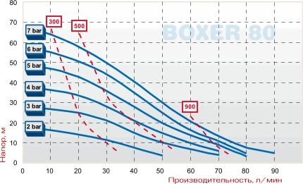 curve boxer80